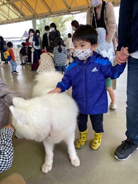 那須どうぶつ王国に投稿された画像（2020/9/28）
