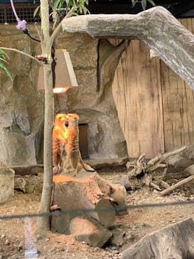 那須どうぶつ王国に投稿された画像（2020/9/28）