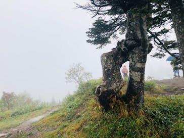 竜王マウンテンリゾート SORA terrace（ソラテラス）に投稿された画像（2020/9/28）