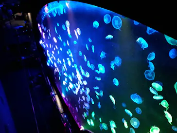 すみだ水族館に投稿された画像（2020/9/28）