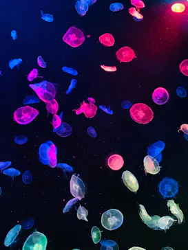 すみだ水族館に投稿された画像（2020/9/28）