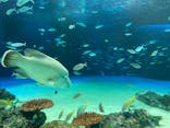 サンシャイン水族館に投稿された画像（2020/9/28）