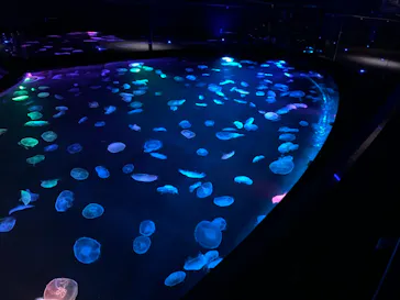 すみだ水族館に投稿された画像（2020/9/28）