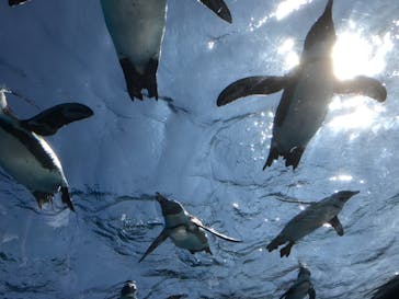 サンシャイン水族館に投稿された画像（2020/9/28）
