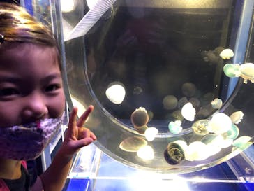 京都水族館に投稿された画像（2020/9/28）