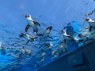 サンシャイン水族館に投稿された画像（2020/9/28）