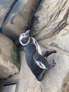 株式会社Gに投稿された画像（2020/9/28）