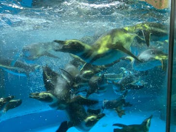 株式会社Gに投稿された画像（2020/9/28）