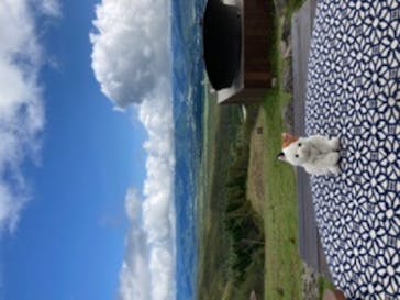 サンメドウズ清里に投稿された画像（2020/9/28）