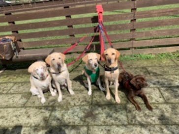 わんダフルネイチャーヴィレッジに投稿された画像（2020/9/28）