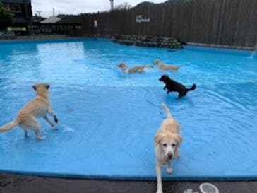 わんダフルネイチャーヴィレッジに投稿された画像（2020/9/28）