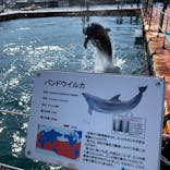 うみたま体験パーク 「つくみイルカ島」に投稿された画像（2020/9/28）