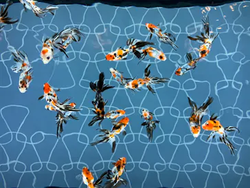 すみだ水族館に投稿された画像（2020/9/28）