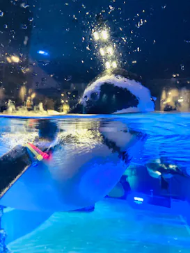 すみだ水族館に投稿された画像（2020/9/28）