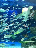 サンシャイン水族館に投稿された画像（2020/9/28）