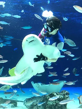 サンシャイン水族館に投稿された画像（2020/9/28）
