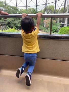 天王寺動物園に投稿された画像（2020/9/28）