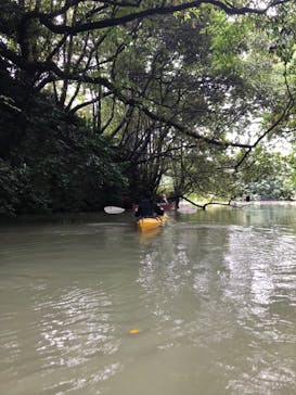 カヌーリゾートたまよどに投稿された画像（2020/9/28）