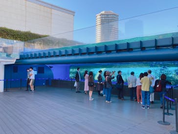 サンシャイン水族館に投稿された画像（2020/9/28）