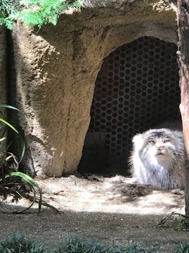 那須どうぶつ王国に投稿された画像（2020/9/28）