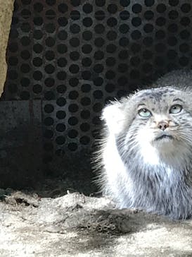 那須どうぶつ王国に投稿された画像（2020/9/28）