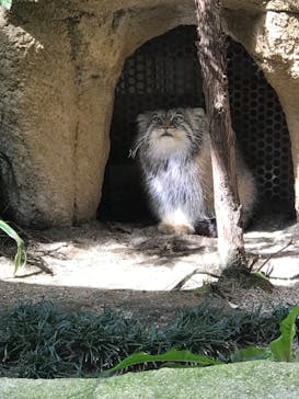 那須どうぶつ王国に投稿された画像（2020/9/28）