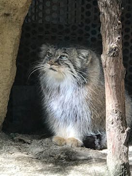 那須どうぶつ王国に投稿された画像（2020/9/28）