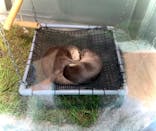 サンシャイン水族館に投稿された画像（2020/9/28）