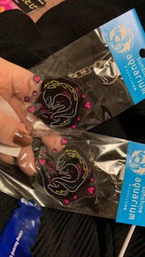 サンシャイン水族館に投稿された画像（2020/9/28）