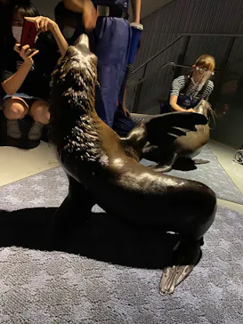 すみだ水族館に投稿された画像（2020/9/28）