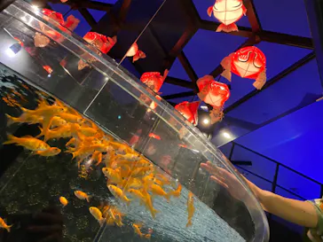 すみだ水族館に投稿された画像（2020/9/28）