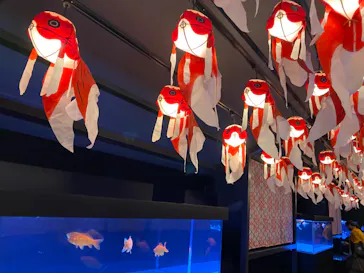 すみだ水族館に投稿された画像（2020/9/28）