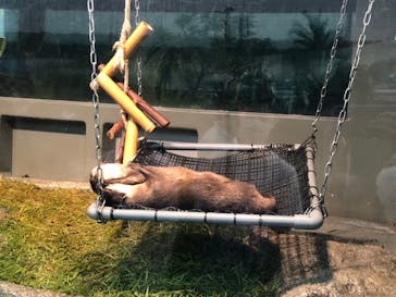 サンシャイン水族館に投稿された画像（2020/9/28）