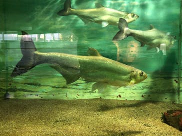 株式会社Gに投稿された画像（2020/9/28）