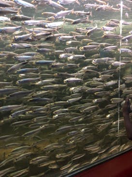 株式会社Gに投稿された画像（2020/9/28）