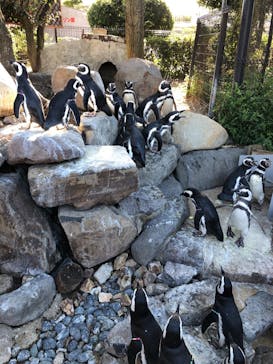 株式会社Gに投稿された画像（2020/9/28）