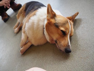 那須どうぶつ王国に投稿された画像（2020/9/28）