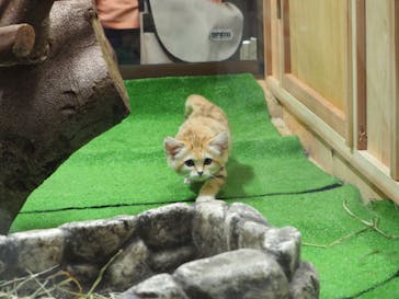 那須どうぶつ王国に投稿された画像（2020/9/28）