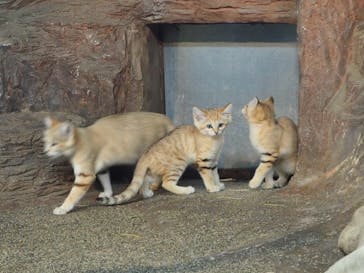 那須どうぶつ王国に投稿された画像（2020/9/28）