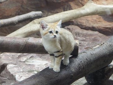 那須どうぶつ王国に投稿された画像（2020/9/28）