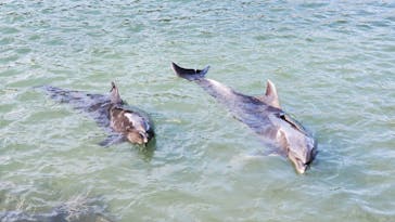 下田海中水族館に投稿された画像（2020/9/28）