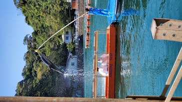 下田海中水族館に投稿された画像（2020/9/28）