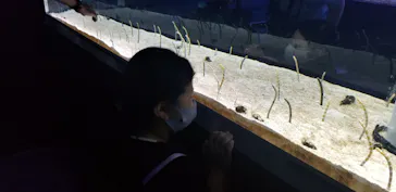 すみだ水族館に投稿された画像（2020/9/29）