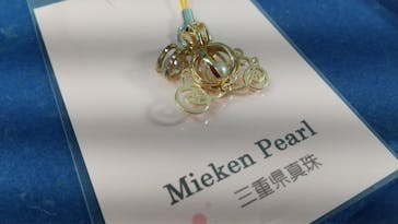 三重県真珠に投稿された画像（2020/9/29）