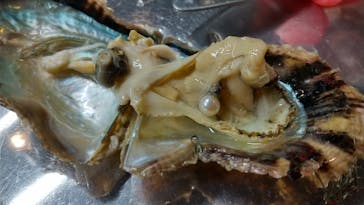 三重県真珠に投稿された画像（2020/9/29）