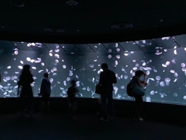 サンシャイン水族館に投稿された画像（2020/9/29）