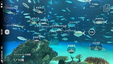 サンシャイン水族館に投稿された画像（2020/9/29）