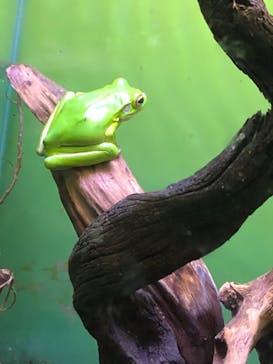 サンシャイン水族館に投稿された画像（2020/9/29）