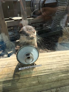 横浜・八景島シーパラダイスに投稿された画像（2020/9/29）