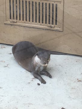 横浜・八景島シーパラダイスに投稿された画像（2020/9/29）